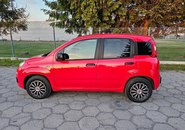Fiat Panda cena 33700 przebieg: 21395, rok produkcji 2018 z Wołów małe 92